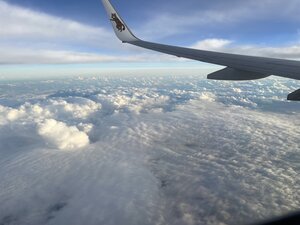 西表島ツアー！石垣島到着〜！[2]