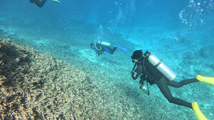 西表島ツアーDay１！！[2]