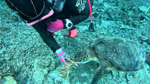 西表島ツアーDay１！！[3]