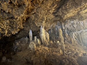 西表島ツアー！！[5]