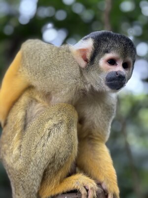 西表島ツアー！！[1]