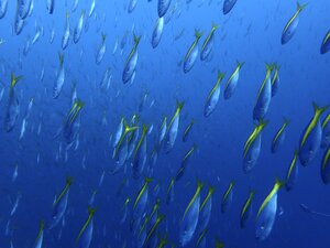 健在！！＠神子元[3]