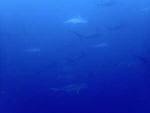 健在！！＠神子元[1]