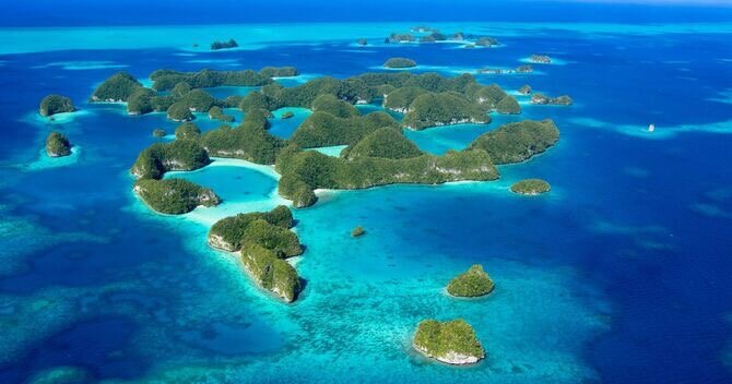 ツアーのお知らせ！！