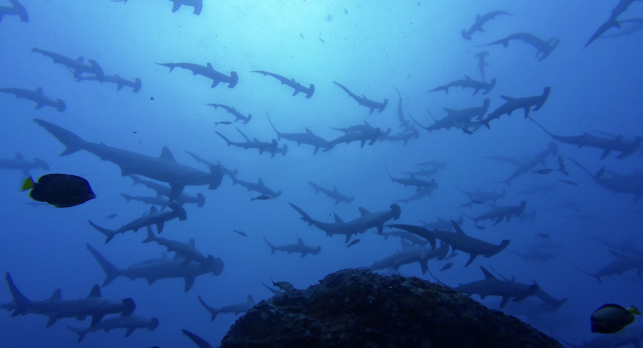 スクリーンショット 2025-12-23 13.59.07.png