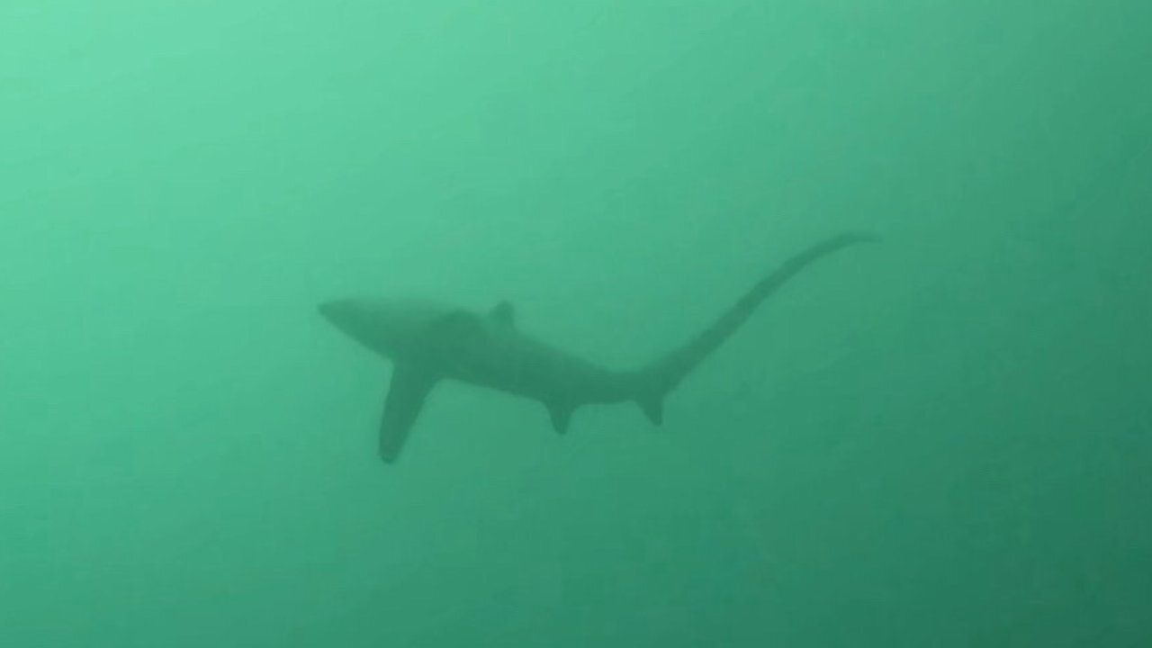 GPTempDownload 5.JPG